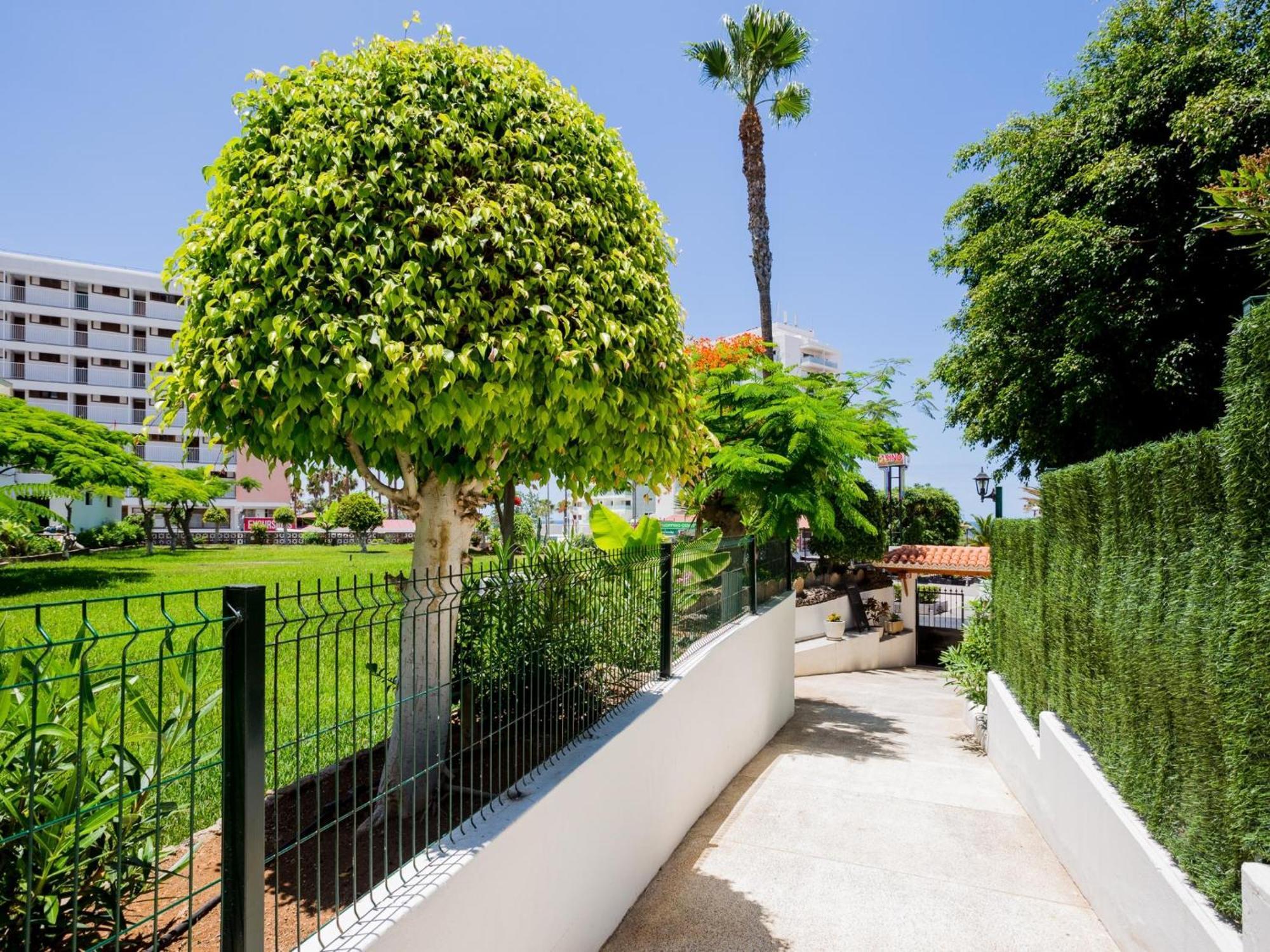 Apartment 41 Copacabana Ocean View Pool Playa de las Americas (Tenerife)